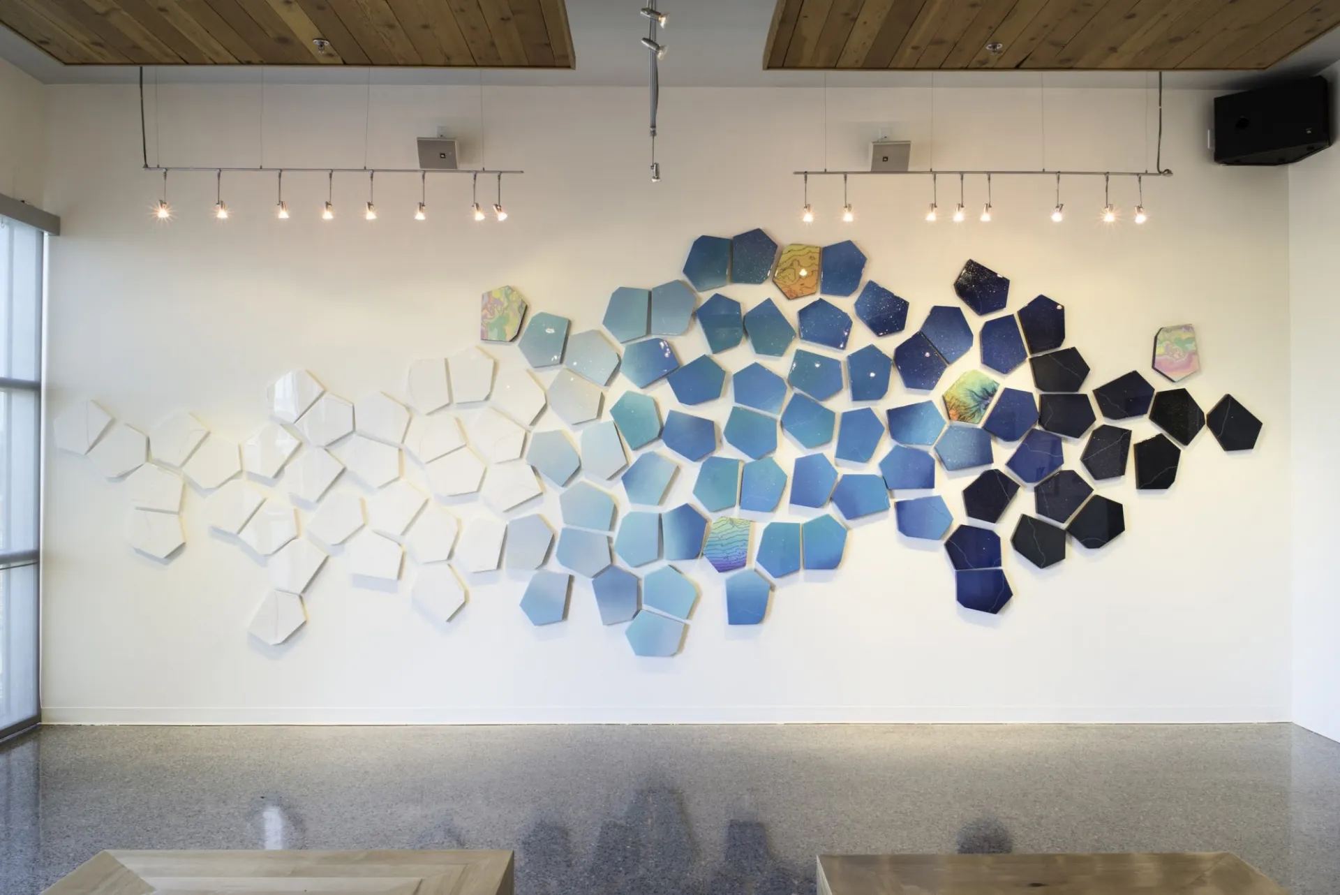 To See the Change of Color by Lizzy Tabor